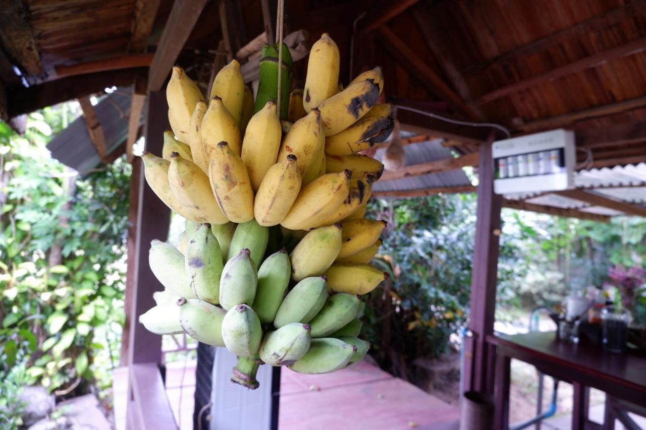 Song Lao Guesthouse Thakhek Buitenkant foto